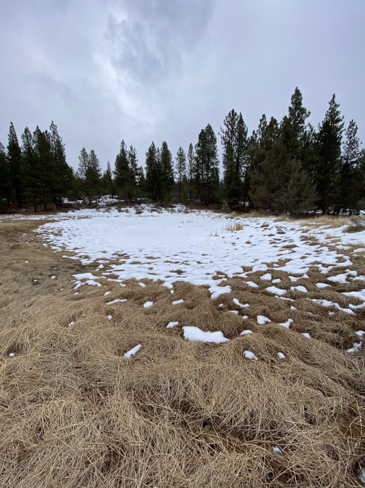 Dry Spring.jpeg